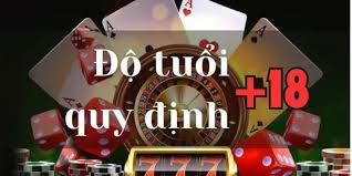 Điều khoản Sử dụng Chung của Sunwin 3 Định nghĩa và Mục tiêu của Điều khoản sử dụng